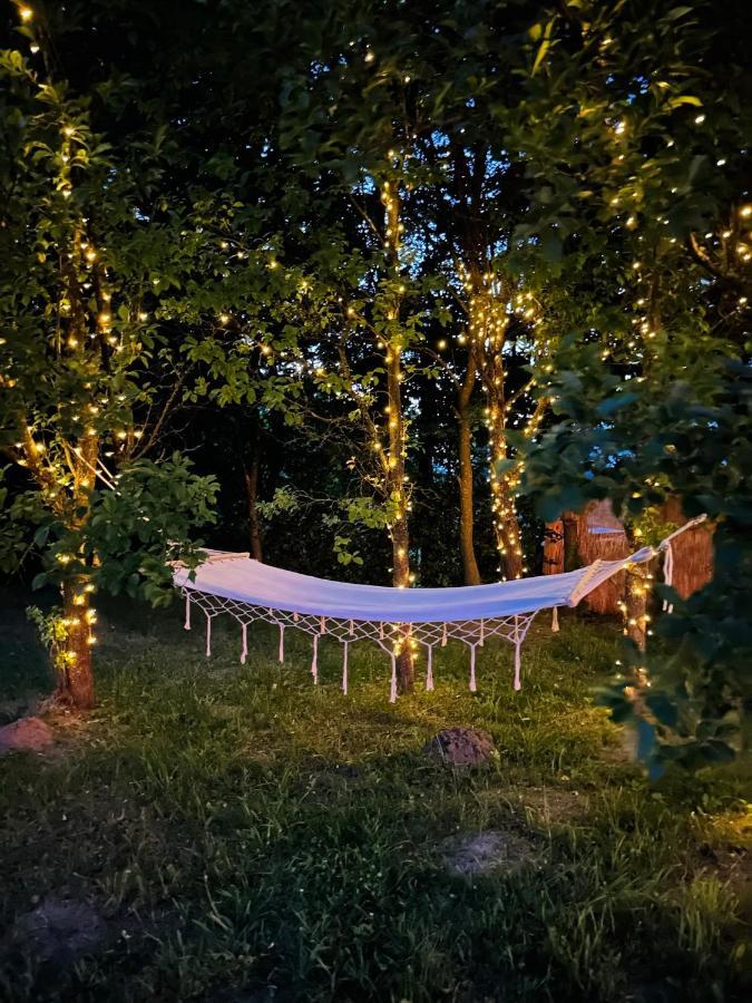 Cuib Din Fagaras Villa Avrig Eksteriør bilde