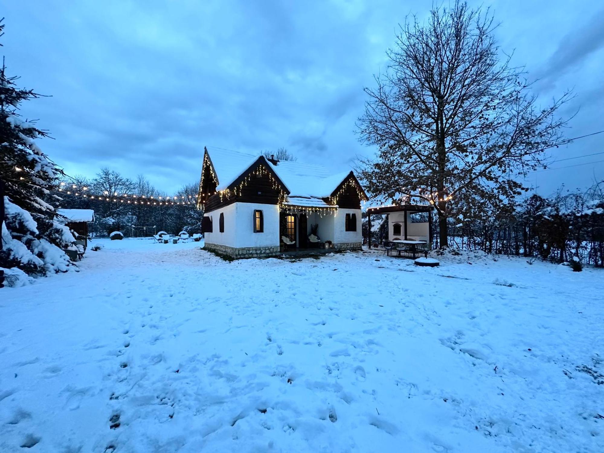 Cuib Din Fagaras Villa Avrig Eksteriør bilde